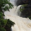 Salto Sapito