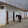 los nevados